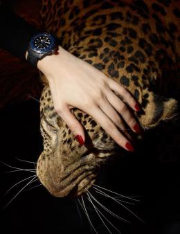 ������ ������� ���